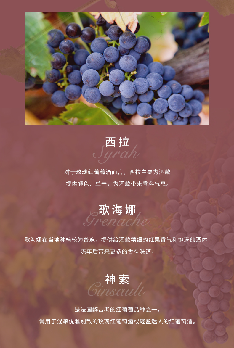 愛斯卡樂普羅旺斯玫瑰紅-拷貝_06.png