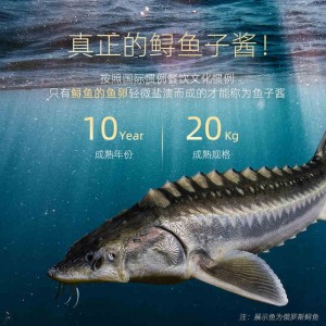 雅可仕俄羅斯鱘魚子醬黑魚籽醬高端壽司專用caviar新鮮即食